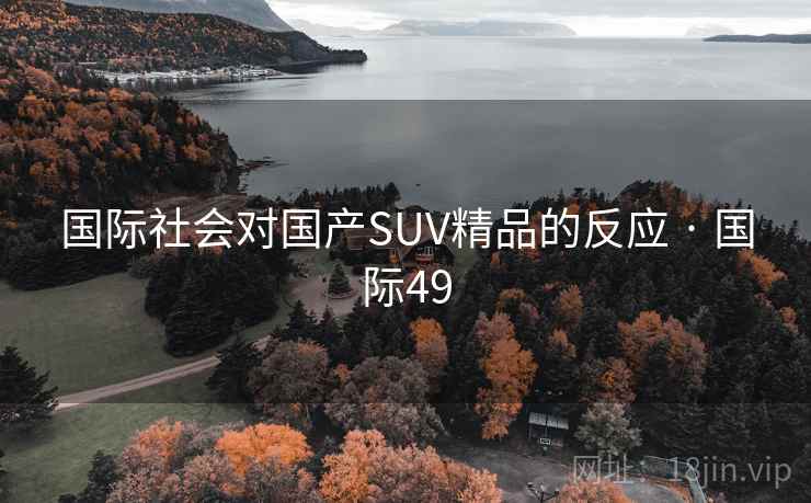 国际社会对国产SUV精品的反应 · 国际49